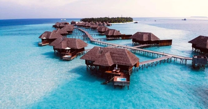 deshchitro-64117a818ec51-150323015753.webp