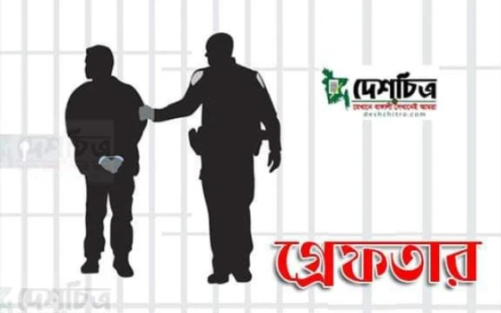 deshchitro-660ac0c80822f-010424081224.webp
