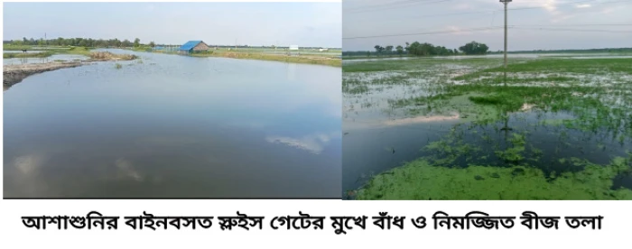 deshchitro-687a5ec130f23-180725084833.webp