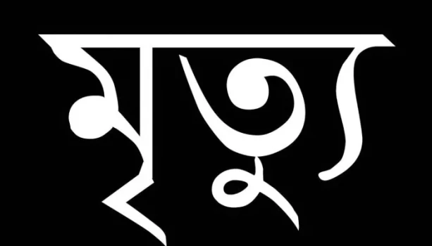 deshchitro-68c430b740c24-120925083951.webp