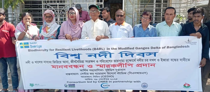 deshchitro-68d9074acb619-280925040042.webp