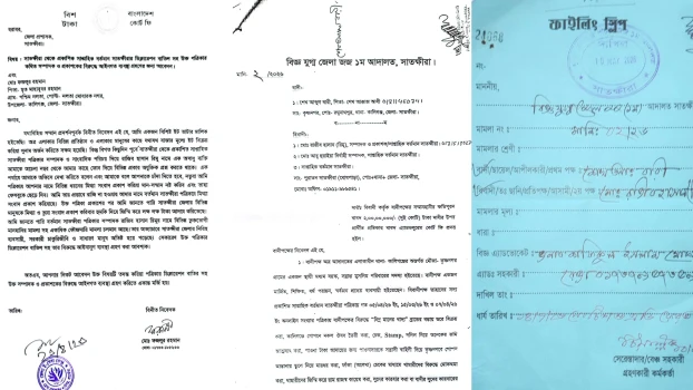 deshchitro-6a0450f1bae51-130526042241.webp