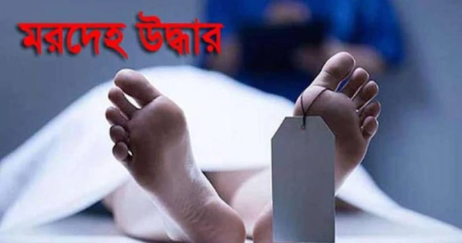 deshchitro-6a660849ba4da-260726071449.webp