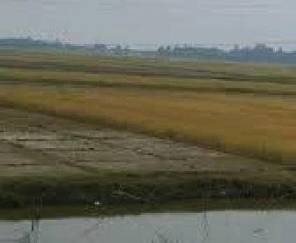 deshchitro-6ac724e58f086-081026110645.webp